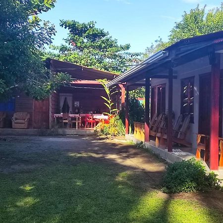 Cabanas Daneysha Tortuguero Exteriör bild
