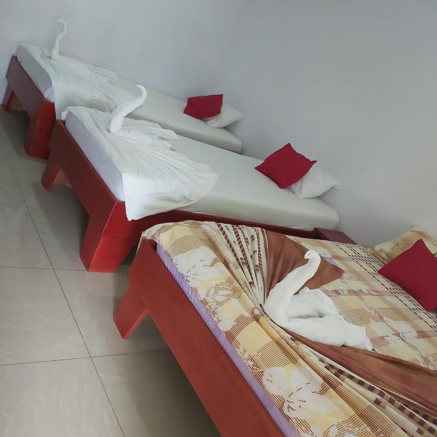 Cabanas Daneysha Tortuguero Exteriör bild