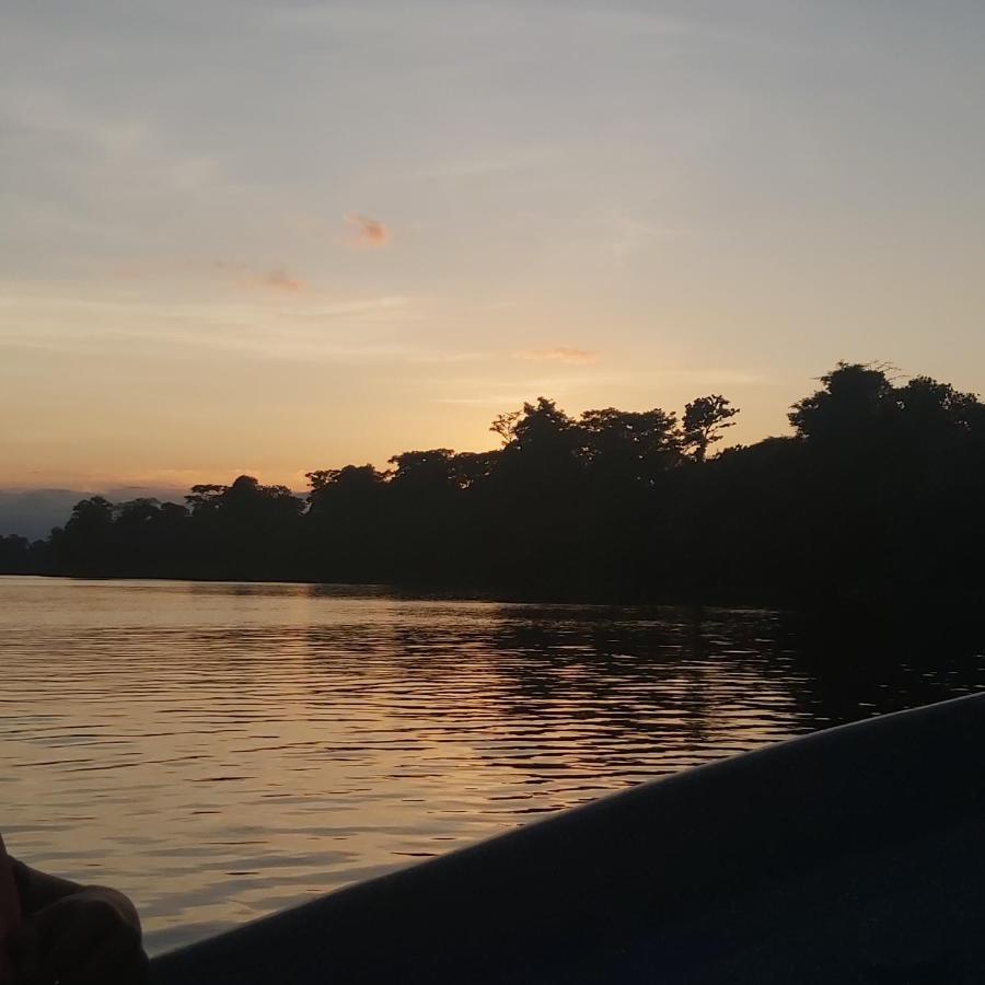 Cabanas Daneysha Tortuguero Exteriör bild
