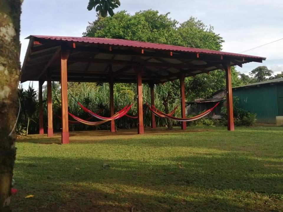 Cabanas Daneysha Tortuguero Exteriör bild