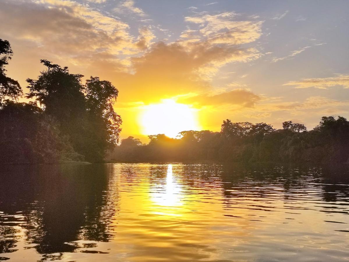 Cabanas Daneysha Tortuguero Exteriör bild