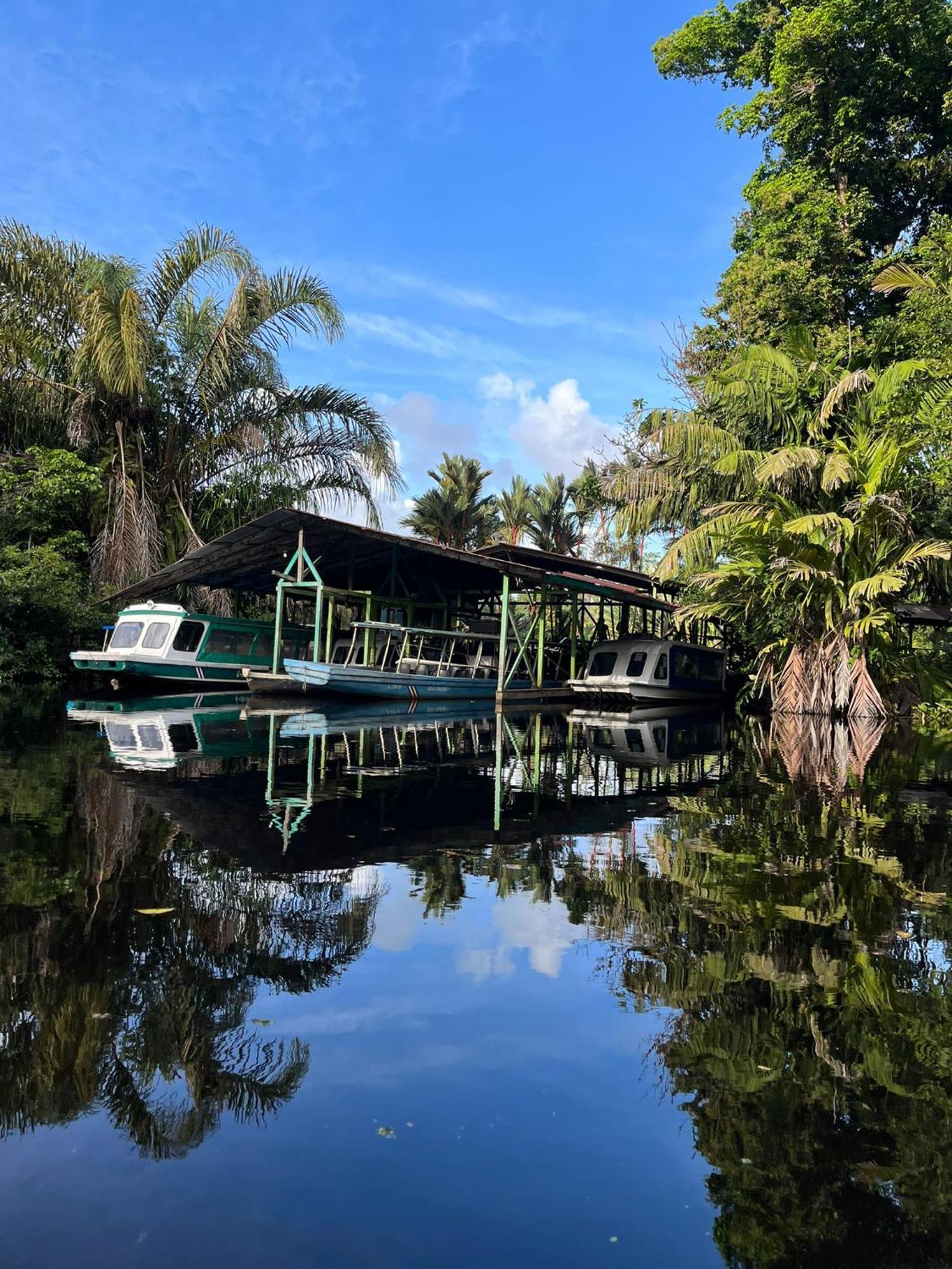 Cabanas Daneysha Tortuguero Rum bild